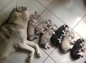 family nap time