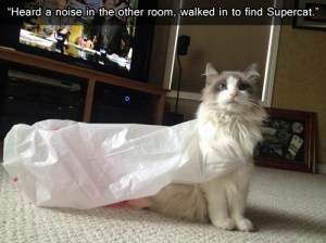 found supercat